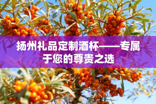 扬州礼品定制酒杯——专属于您的尊贵之选