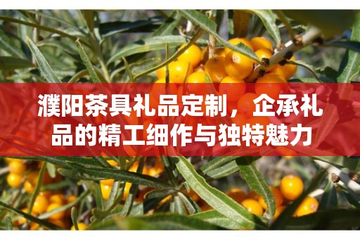 濮阳茶具礼品定制，企承礼品的精工细作与独特魅力