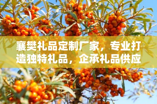 襄樊礼品定制厂家，专业打造独特礼品，企承礼品供应链卓越服务