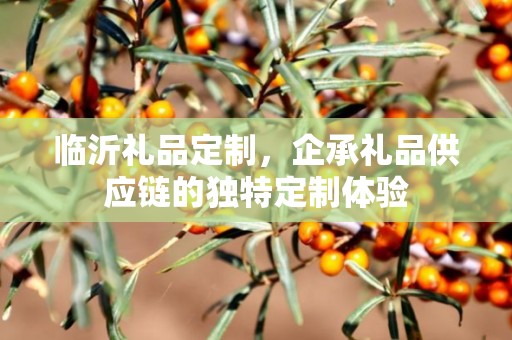 临沂礼品定制，企承礼品供应链的独特定制体验