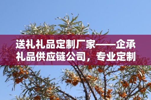 送礼礼品定制厂家——企承礼品供应链公司，专业定制独特礼品