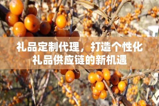 礼品定制代理，打造个性化礼品供应链的新机遇